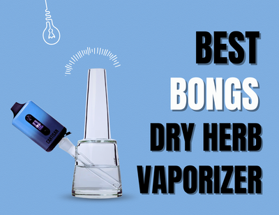 What Bongs Hit the Best with a Dry Herb Vaporizer?