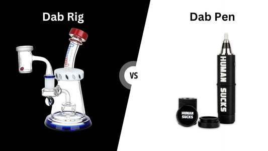 Dab Pen vs Dab Rig